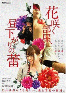 海贼王剧场版黄金城海报